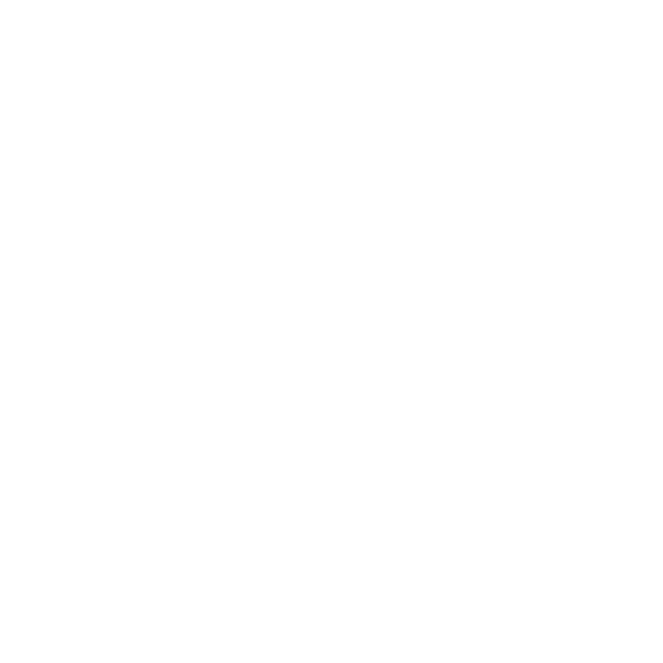 abrisk-logo-footer